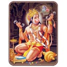 "Hanuman Kirtan" T-Shirt